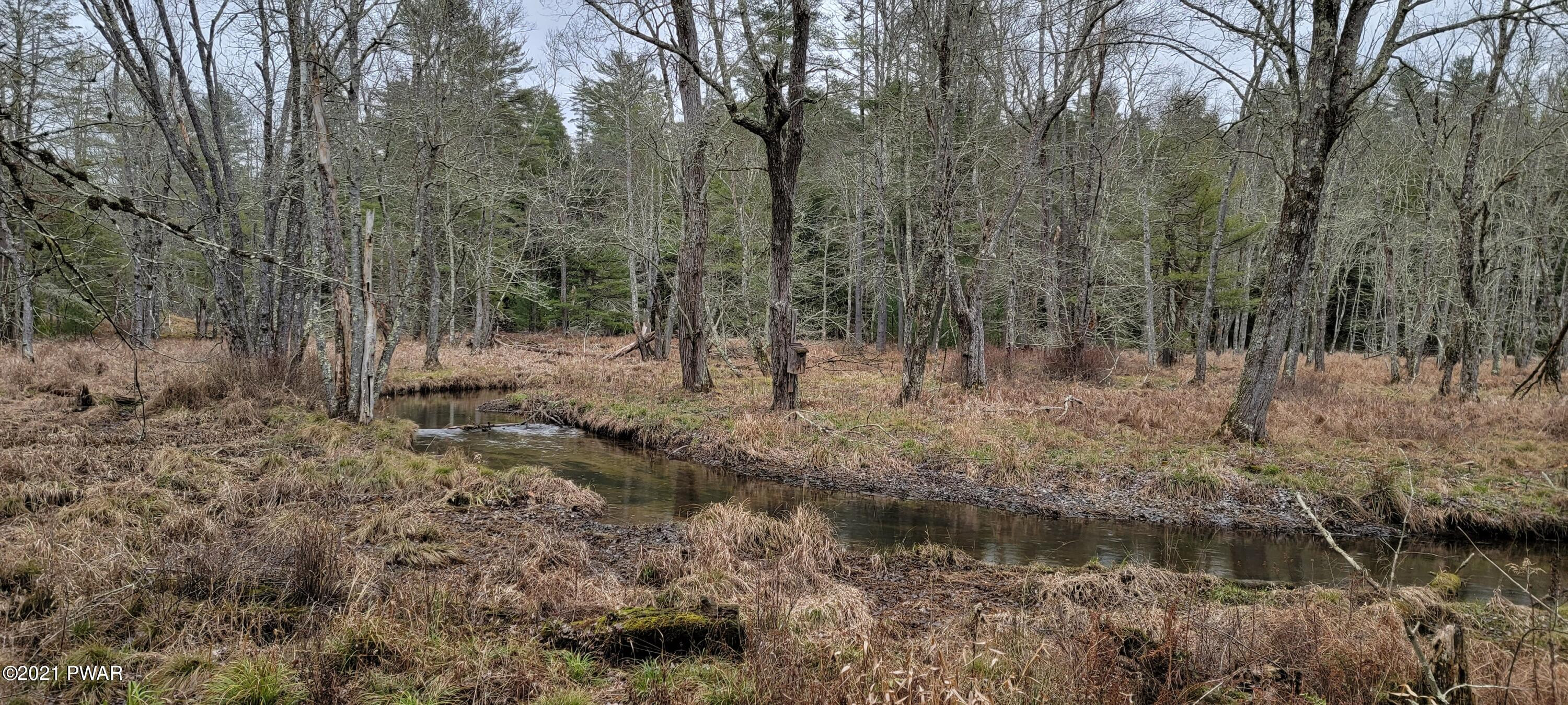 Lot 43 Swamp Pond Road Narrowsburg, NY 12764 - Photo 1 of 13