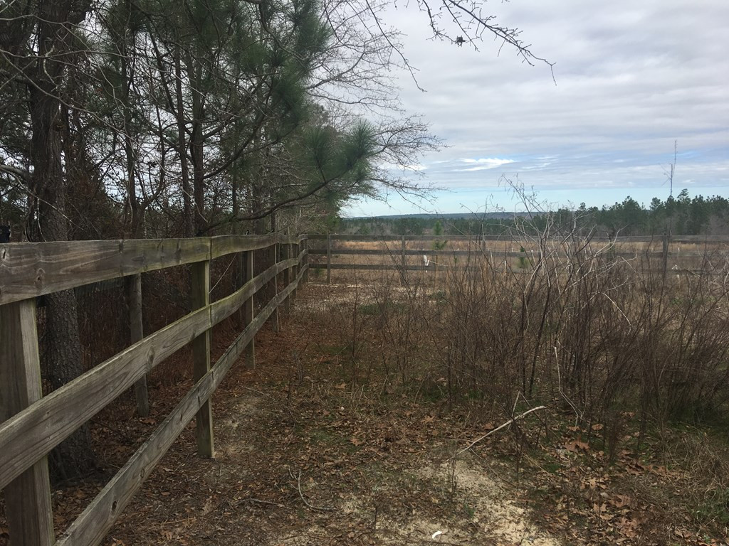 1043 3 Farms Road Aiken, SC 29805 - Photo 41 of 44