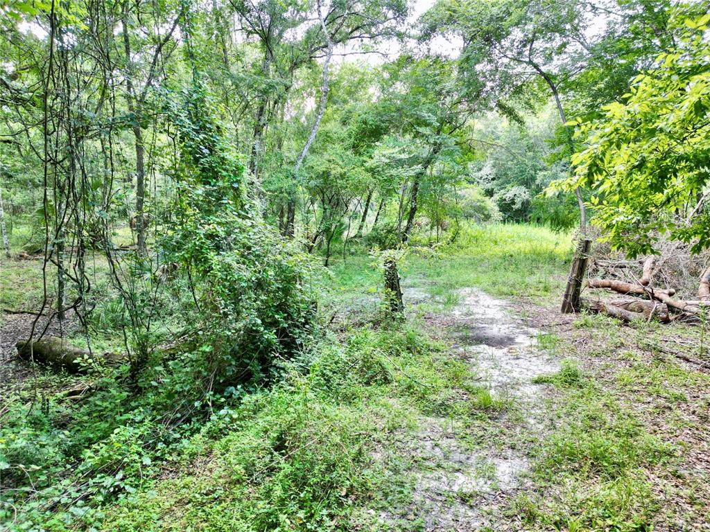 Tbd Southwest 31st Way Webster, FL 33597 - Photo 15 of 15 Gallery Image 15