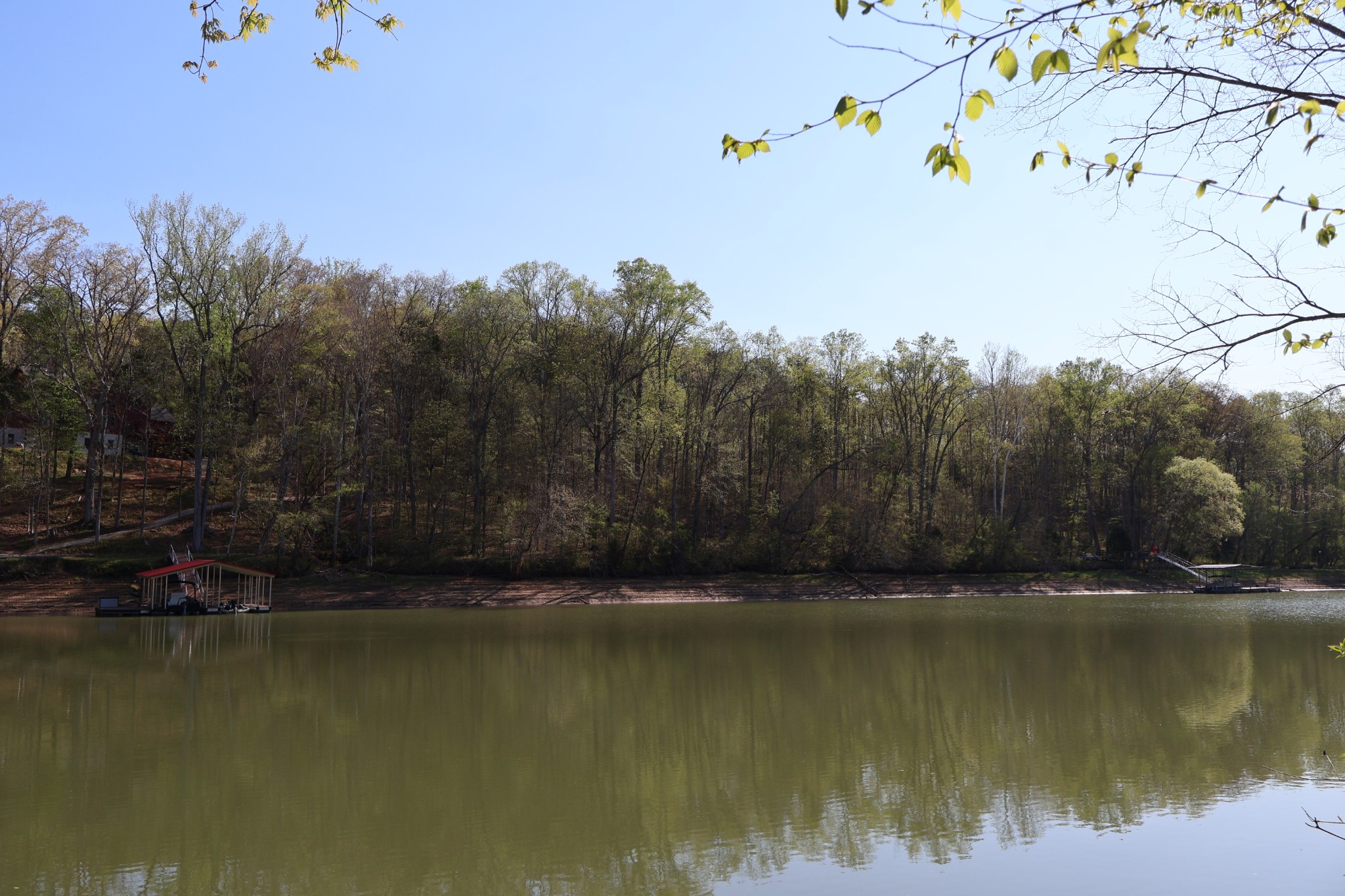 0 Simmons Cemetery Road Quebeck, TN 38579 - Photo 1 of 10