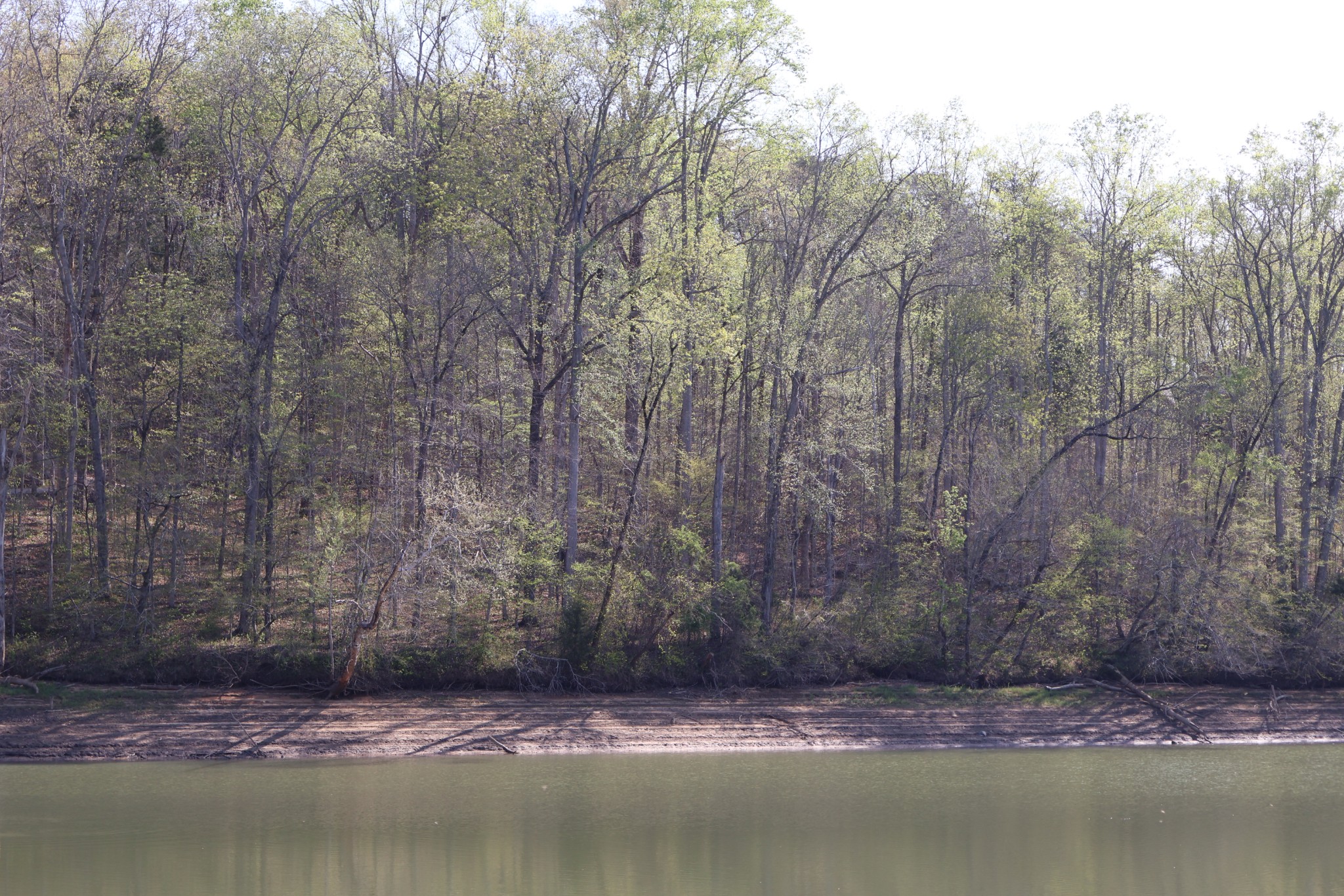 0 Simmons Cemetery Road Quebeck, TN 38579 - Photo 2 of 10