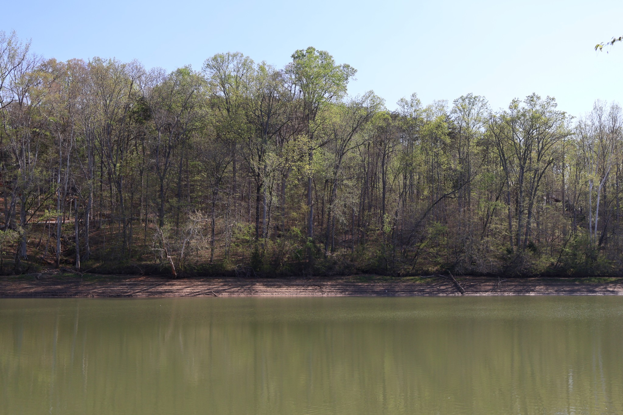 0 Simmons Cemetery Road Quebeck, TN 38579 - Photo 4 of 10