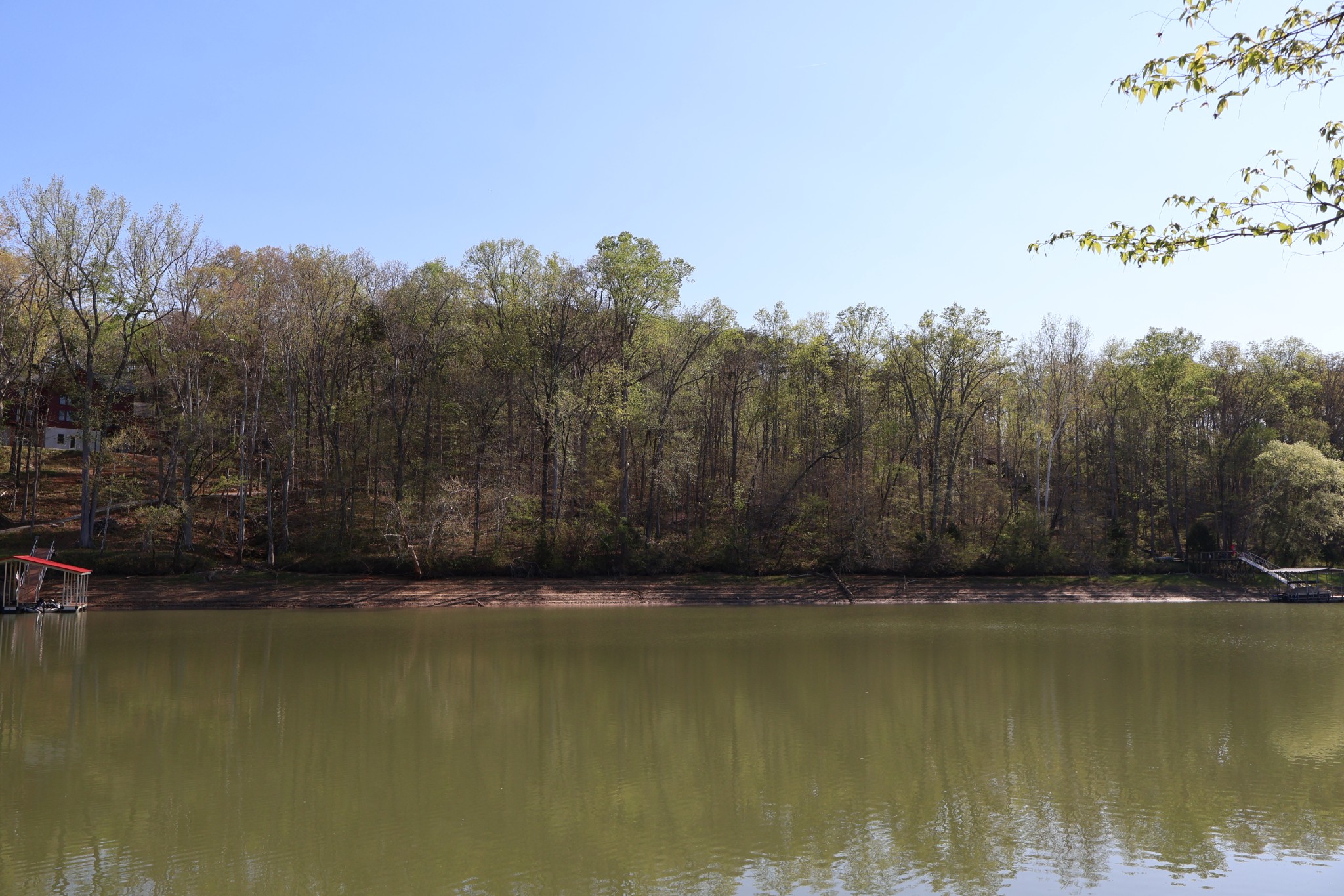 0 Simmons Cemetery Road Quebeck, TN 38579 - Photo 4 of 11