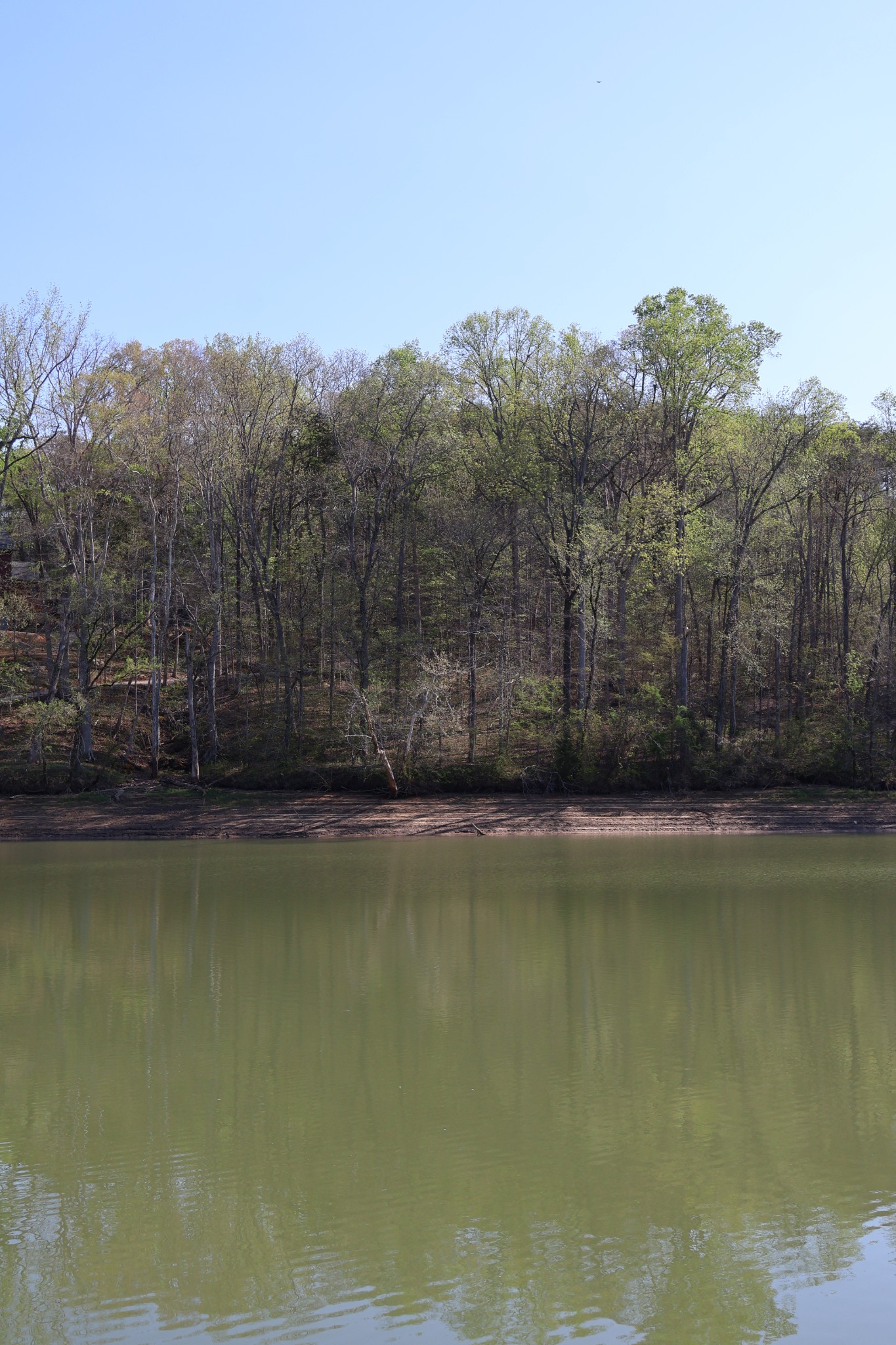 0 Simmons Cemetery Road Quebeck, TN 38579 - Photo 5 of 10