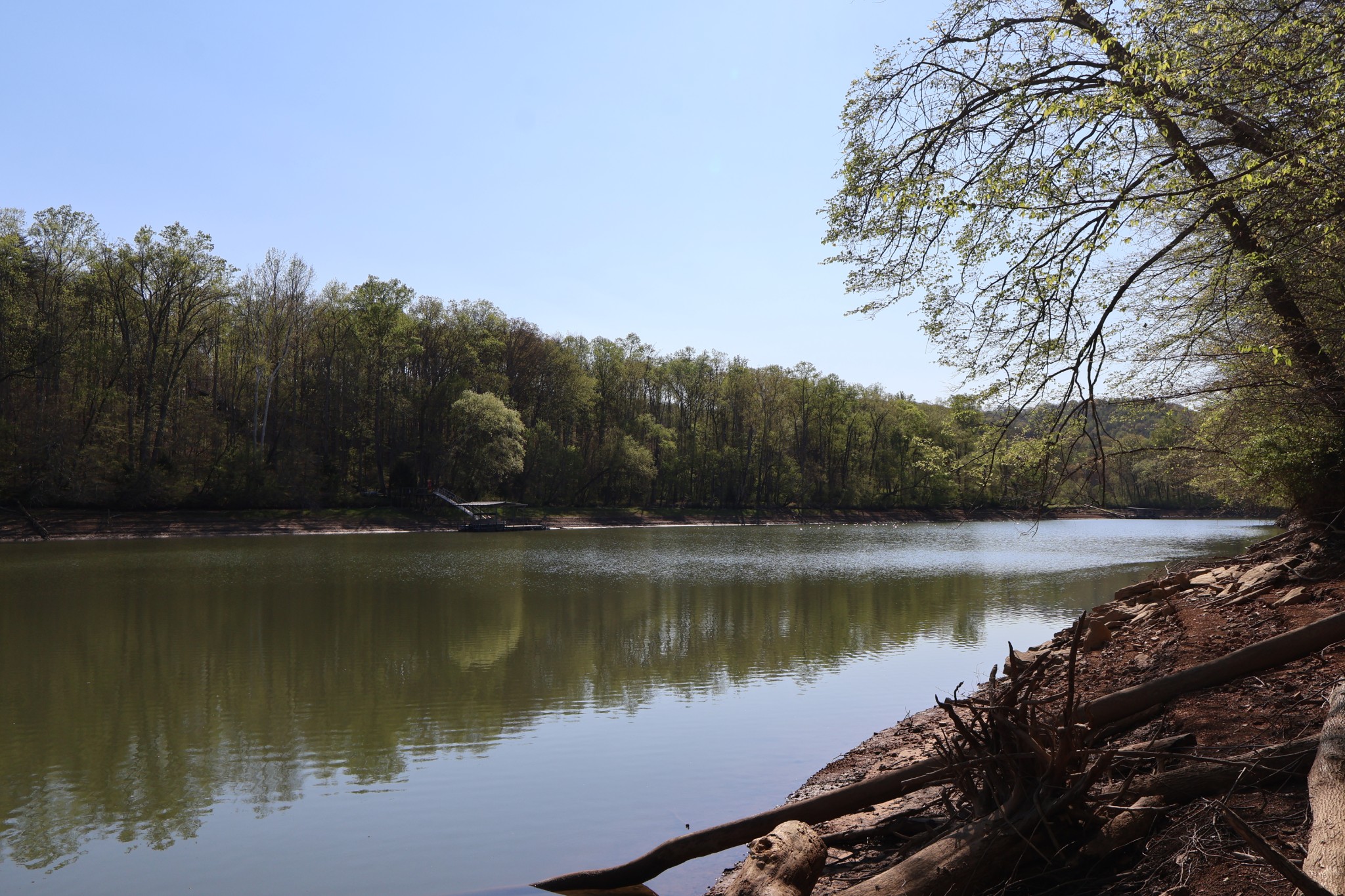 0 Simmons Cemetery Road Quebeck, TN 38579 - Photo 7 of 10