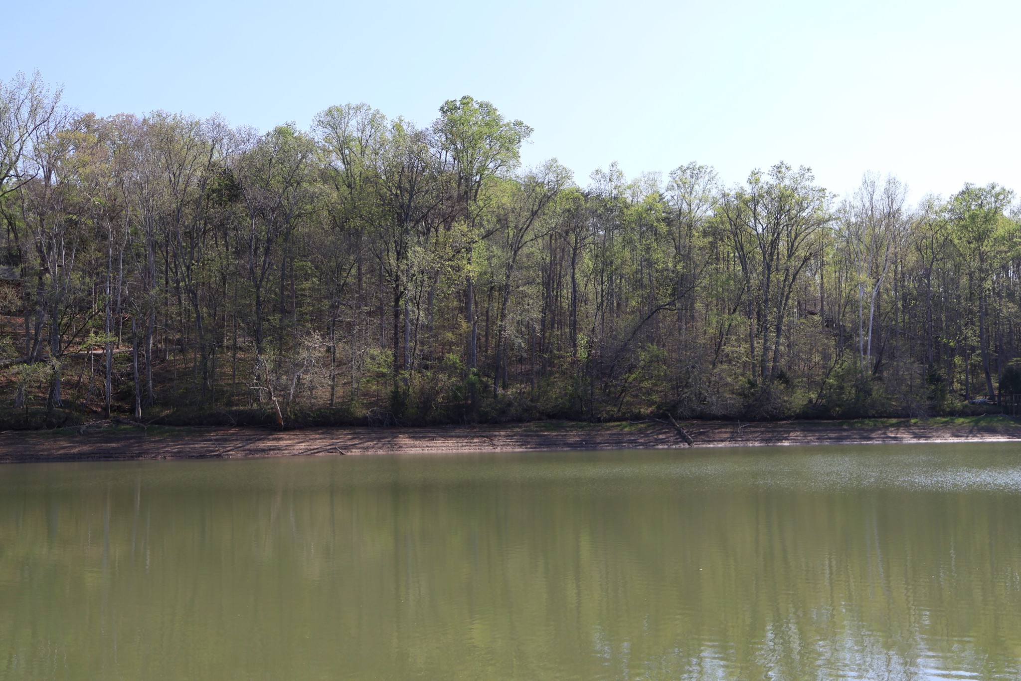 0 Simmons Cemetery Road Quebeck, TN 38579 - Photo 9 of 11