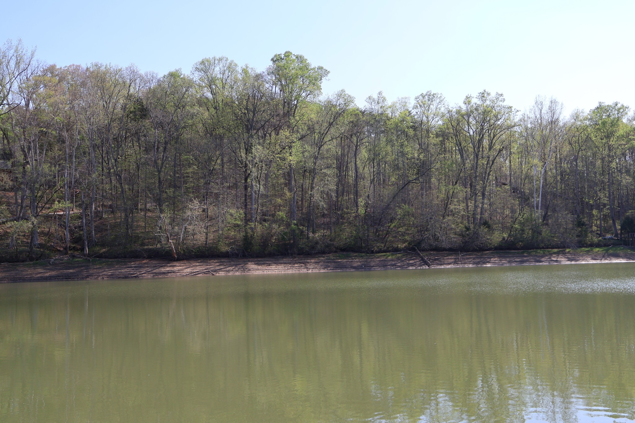 0 Simmons Cemetery Road Quebeck, TN 38579 - Photo 9 of 10