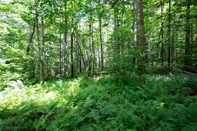 $875,000 | 0 Markham Lane, Weston, VT 05161