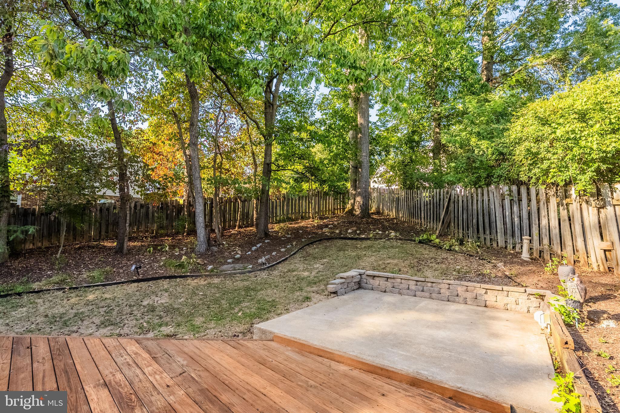 2352 Cedar Lane Vienna, VA 22182 - Photo 48 of 59 a backyard of a house with lots of green space