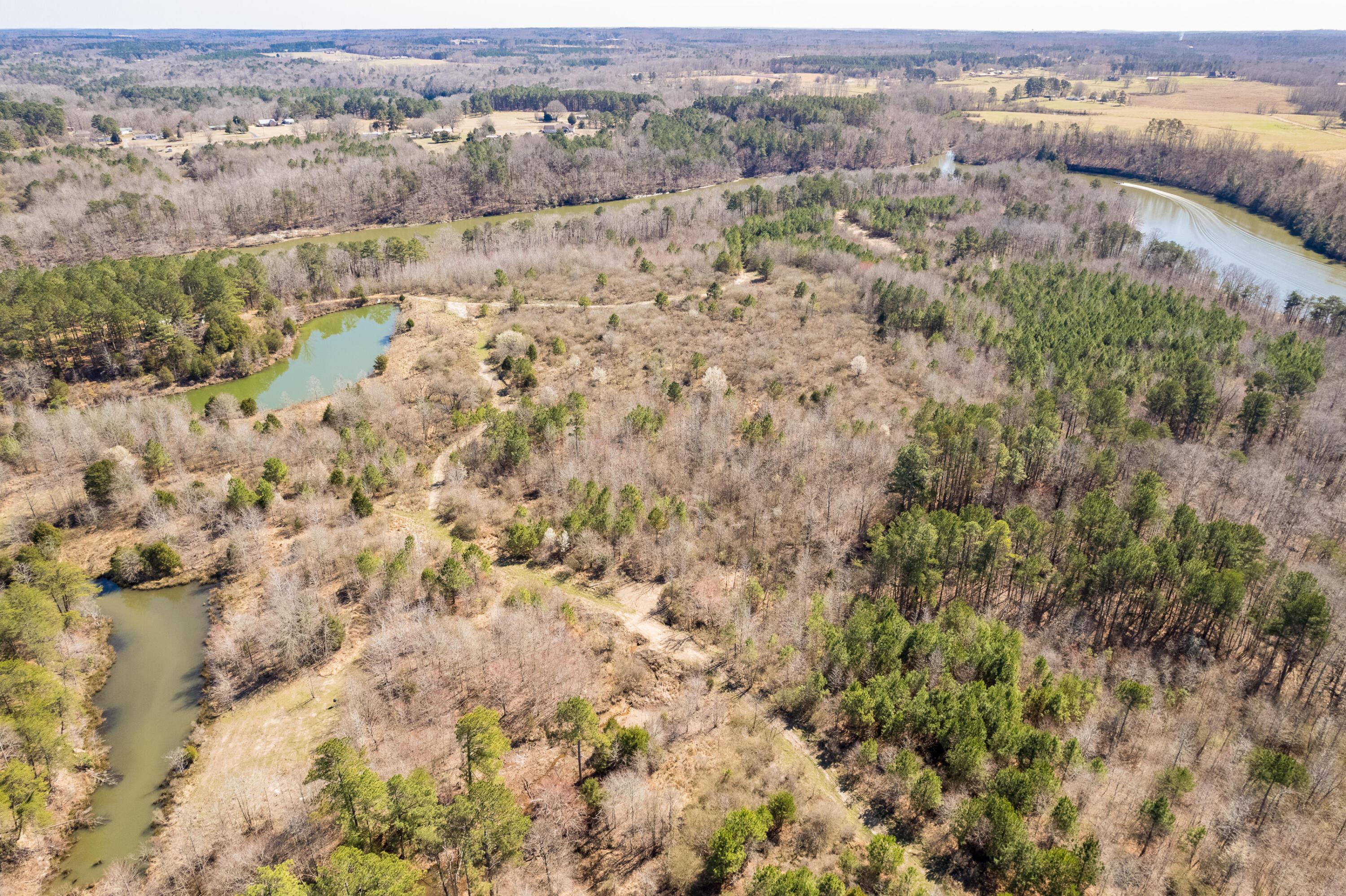 0 Dime Road Phil Campbell, AL 35581 - Photo 13 of 18 Aerial