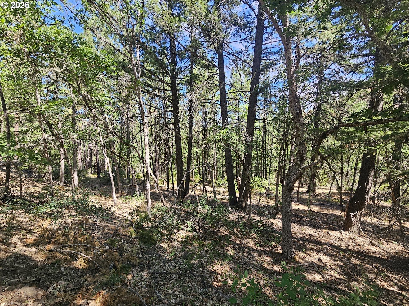 Lovers Lane Lyle, WA 98635 - Photo 11 of 25