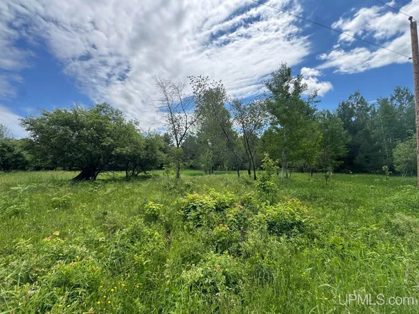$38,500 | Tbd Bellaire Road, Baraga, MI 49908