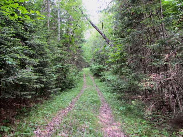 Lot 3 Ed's Lake Road Crandon, WI 54520 - Photo 18 of 20 Gallery Image 18