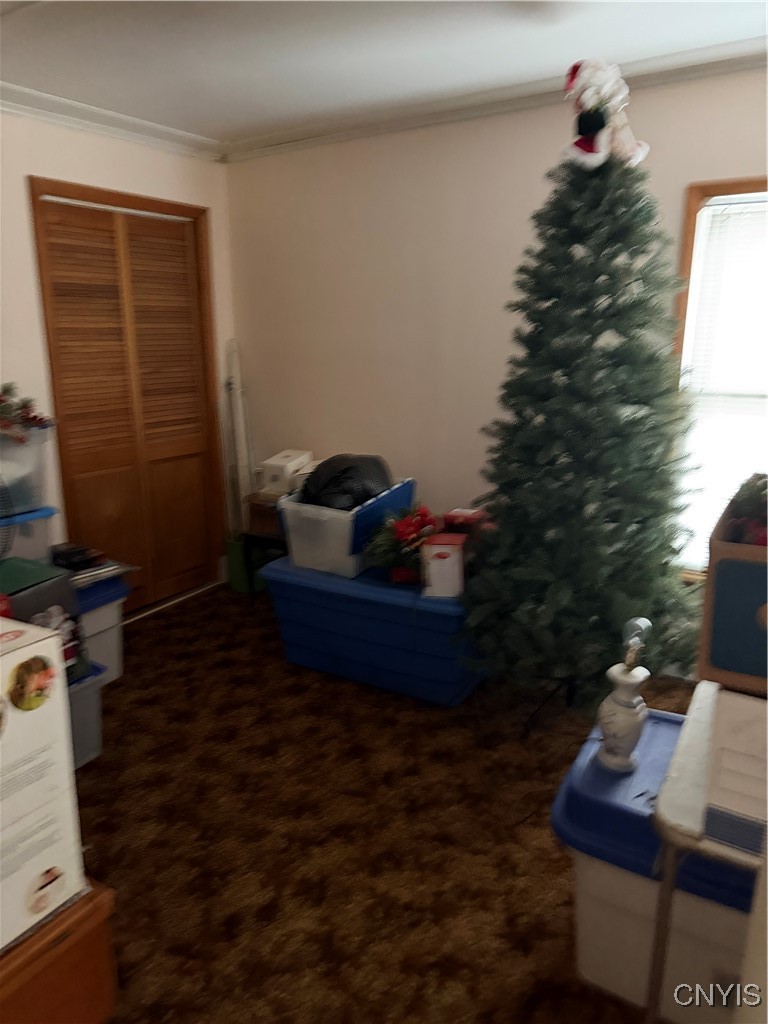 1042 Maple Street Genoa, NY 13071 - Photo 25 of 32