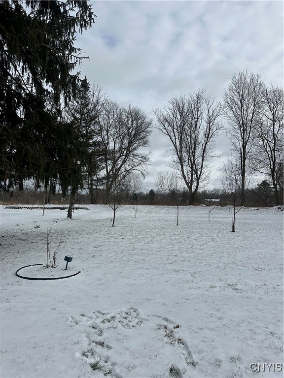 1042 Maple Street Genoa, NY 13071 - Photo 7 of 24