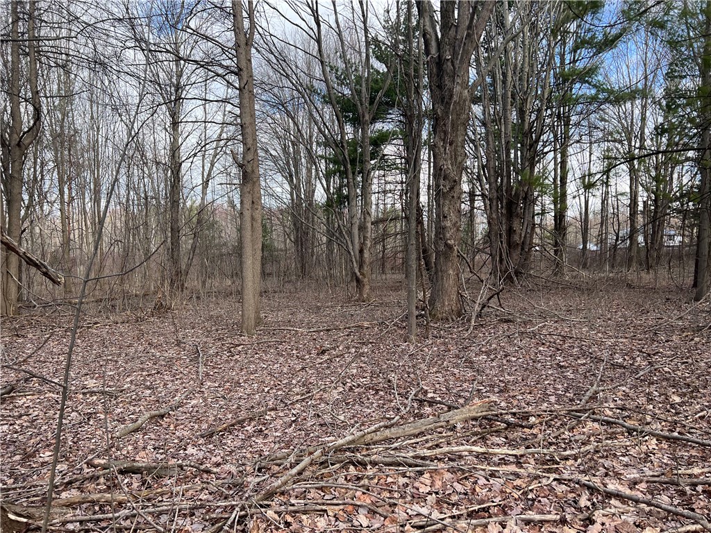 0 Gowans Road Evans, NY 14006 - Photo 2 of 12