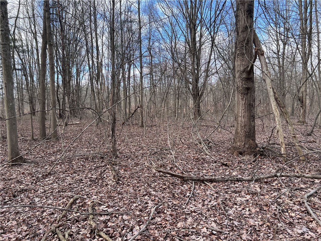 0 Gowans Road Evans, NY 14006 - Photo 3 of 12