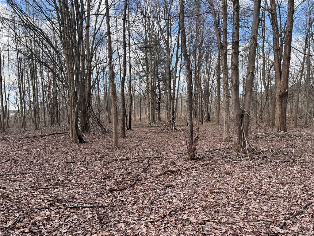 0 Gowans Road Evans, NY 14006 - Photo 4 of 12