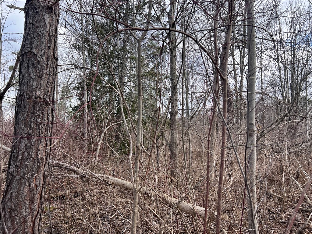 0 Gowans Road Evans, NY 14006 - Photo 5 of 12