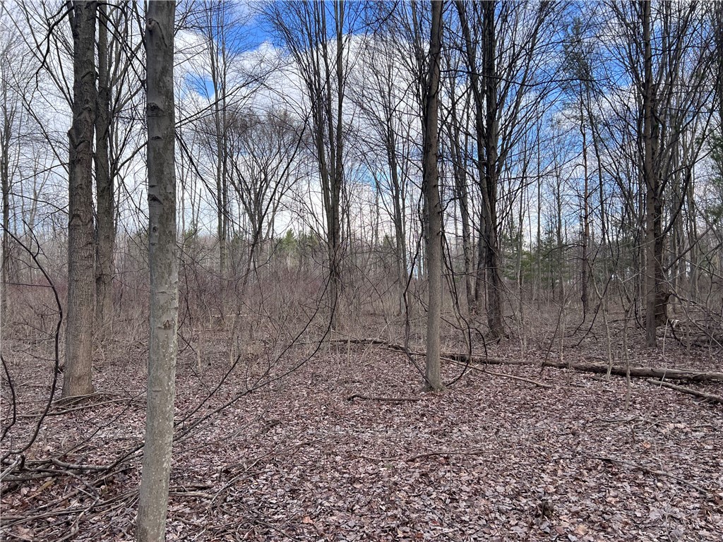 0 Gowans Road Evans, NY 14006 - Photo 6 of 12