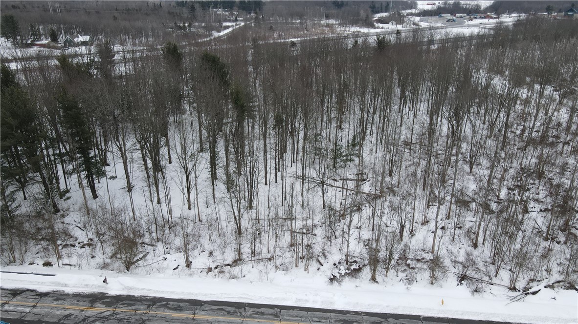 0 Gowans Road Evans, NY 14006 - Photo 9 of 12