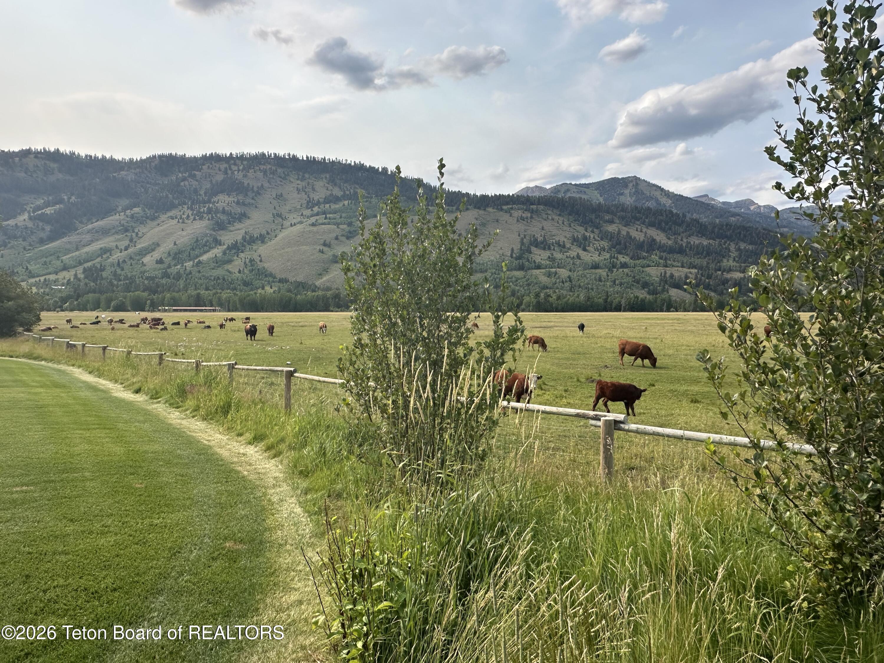 Lot 11 Triangle Q Ranch Road Wilson, WY 83014 - Photo 14 of 14 Grazing Hour