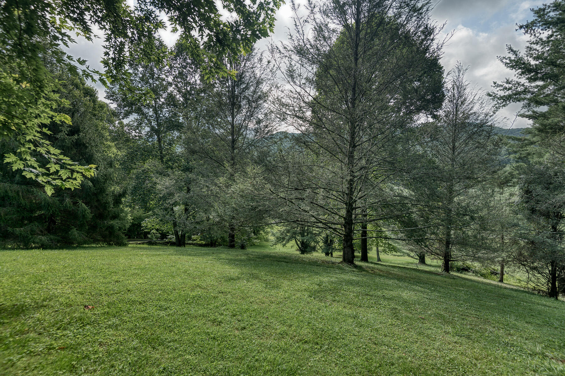 2155 Marbleton Road Unicoi, TN 37692 - Photo 44 of 48 Marbleton 44
