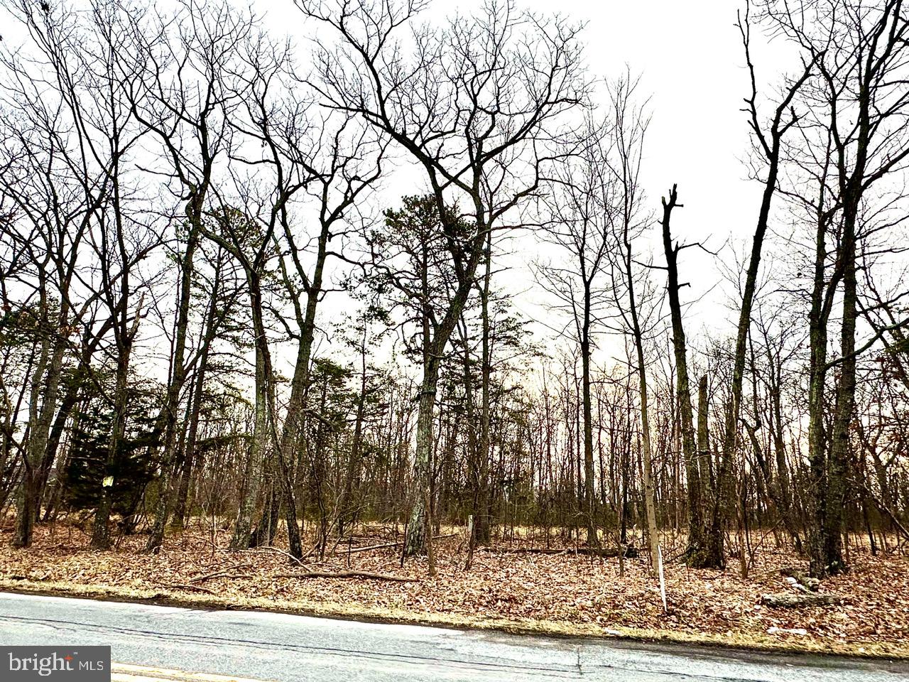 Lot 4 North Timber Ridge Road Cross Junction, VA 22625 - Photo 3 of 7 a view of a outdoor space