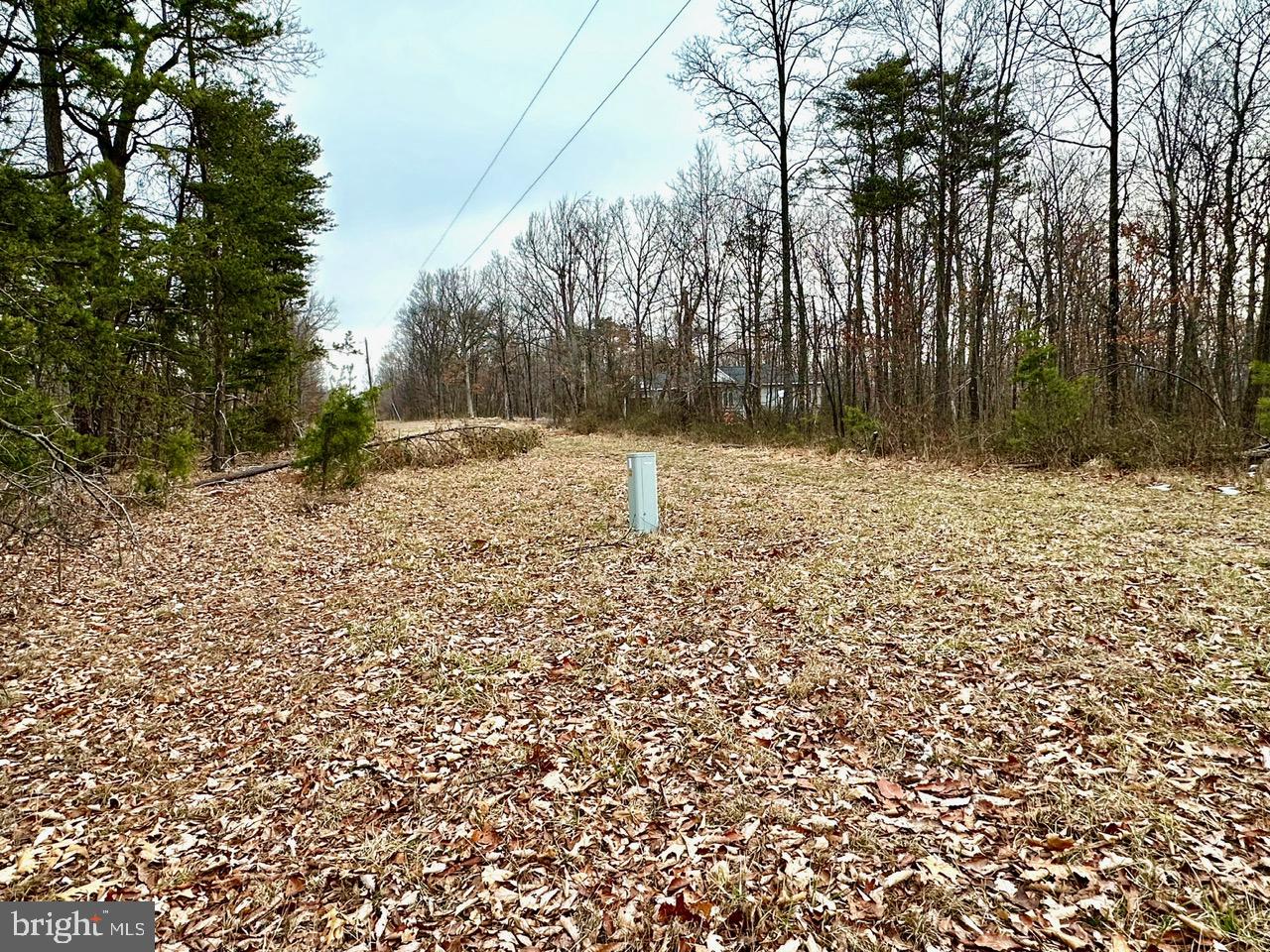 Lot 4 North Timber Ridge Road Cross Junction, VA 22625 - Photo 4 of 7 a backyard of a house with lots of green space