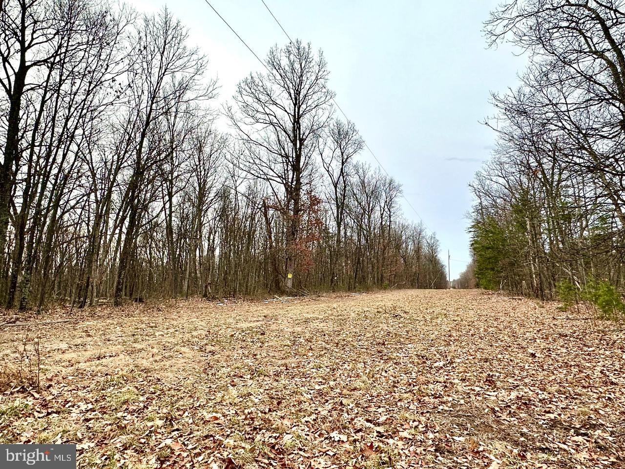 Lot 4 North Timber Ridge Road Cross Junction, VA 22625 - Photo 5 of 7 a view of a yard