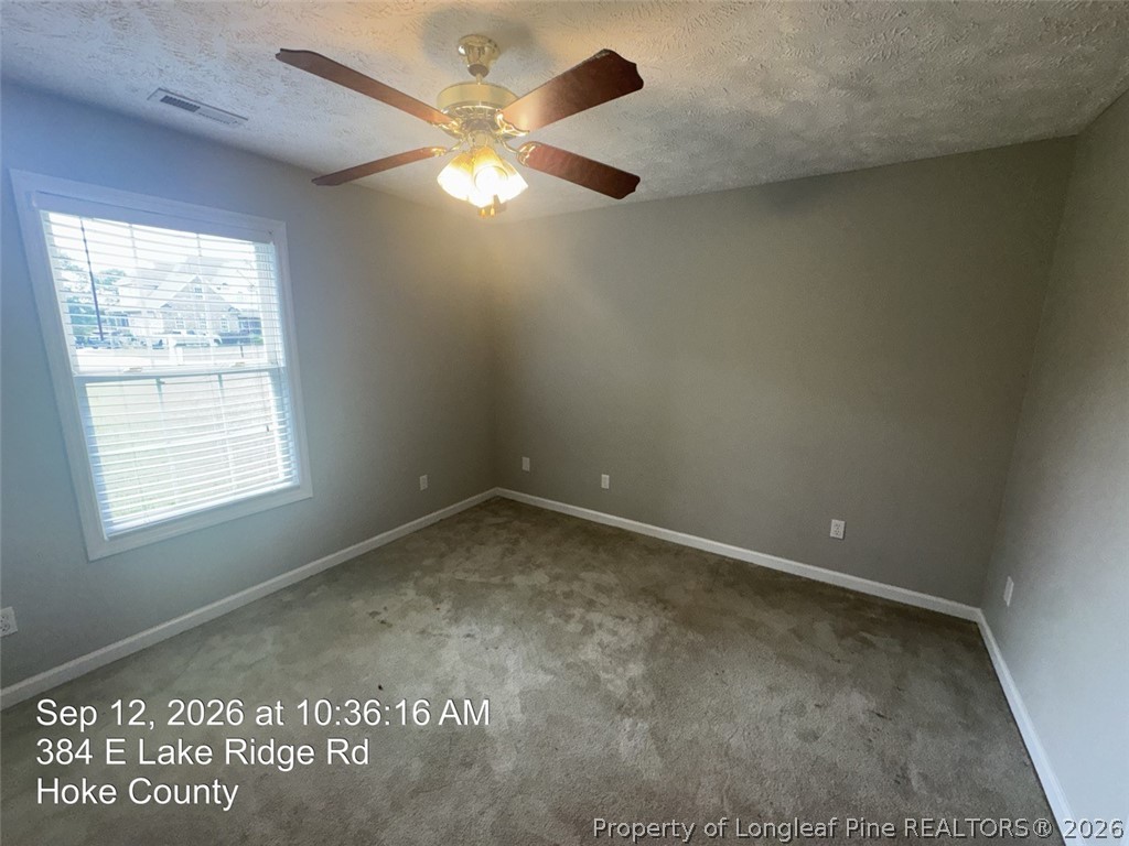 384 East Lake Ridge Road Raeford, NC 28376 - Photo 19 of 22 Gallery Image 19