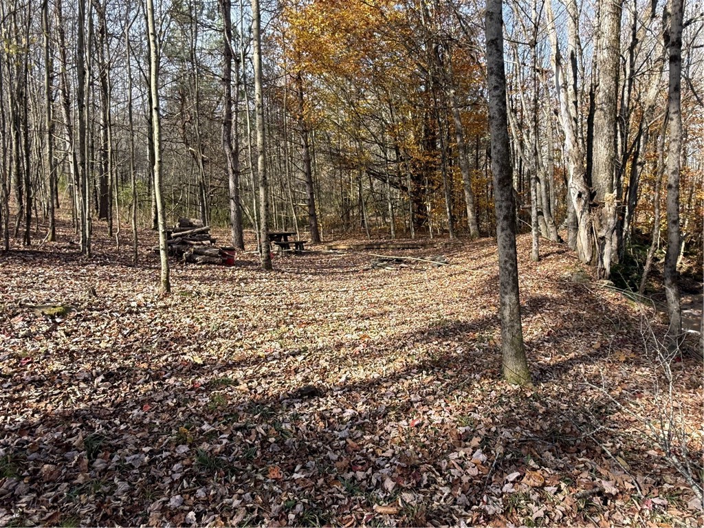 1-8 South Worcester Hill Road Harpersfield, NY 12093 - Photo 8 of 11