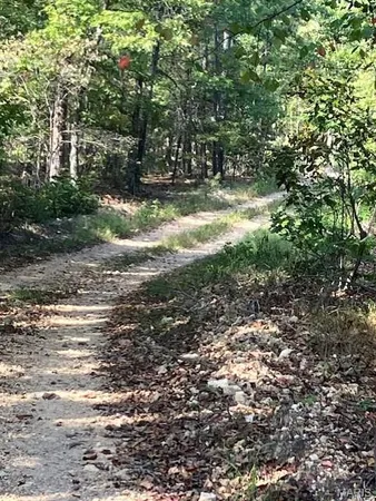 $85,995 | 198 Madison Cr, Fredericktown, MO 63645