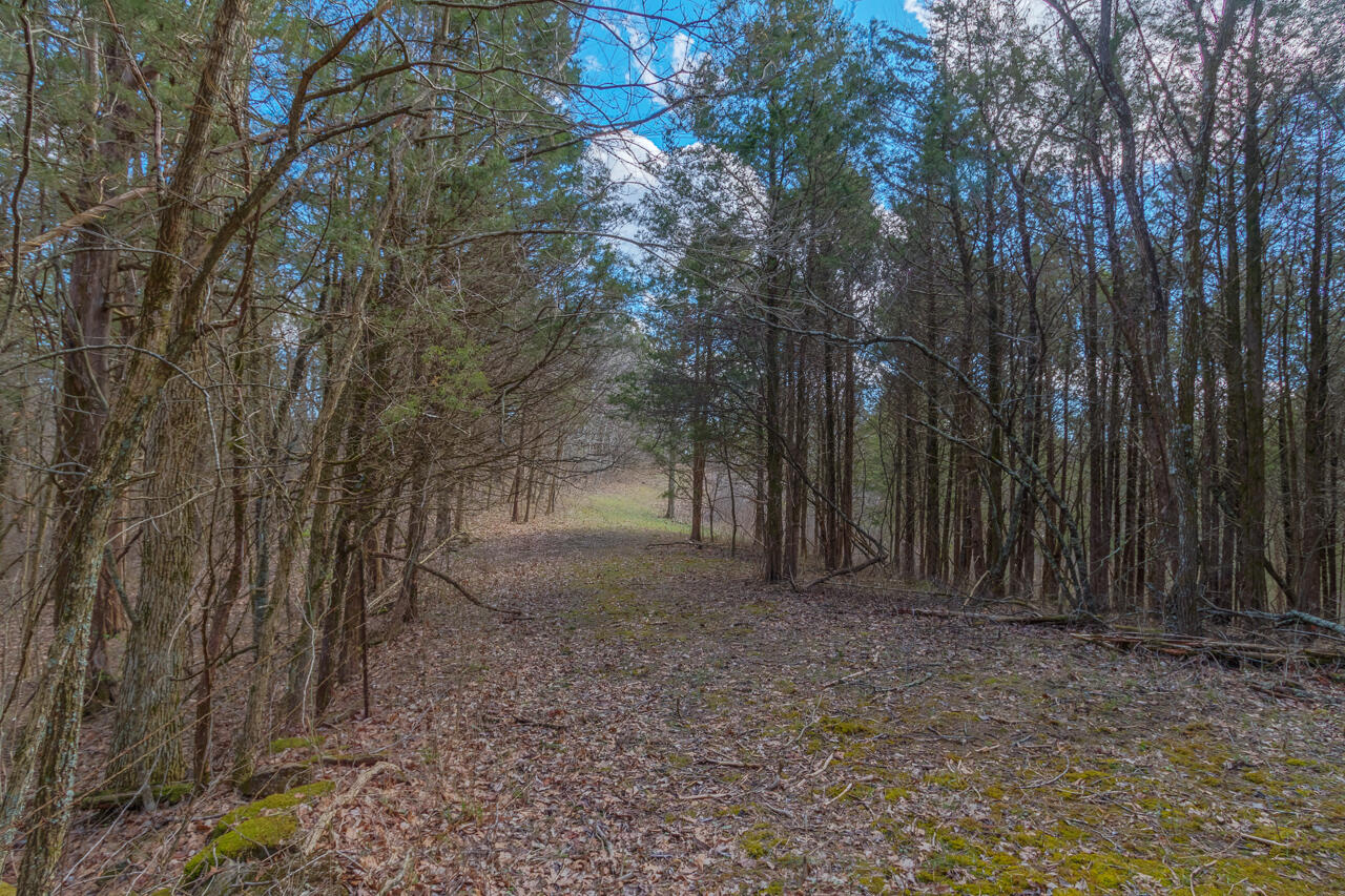 1 Camp Pleasant Road Frankfort, KY 40601 - Photo 10 of 67 029-2918-Cedar-Rd-Stamping-Ground-KY-403