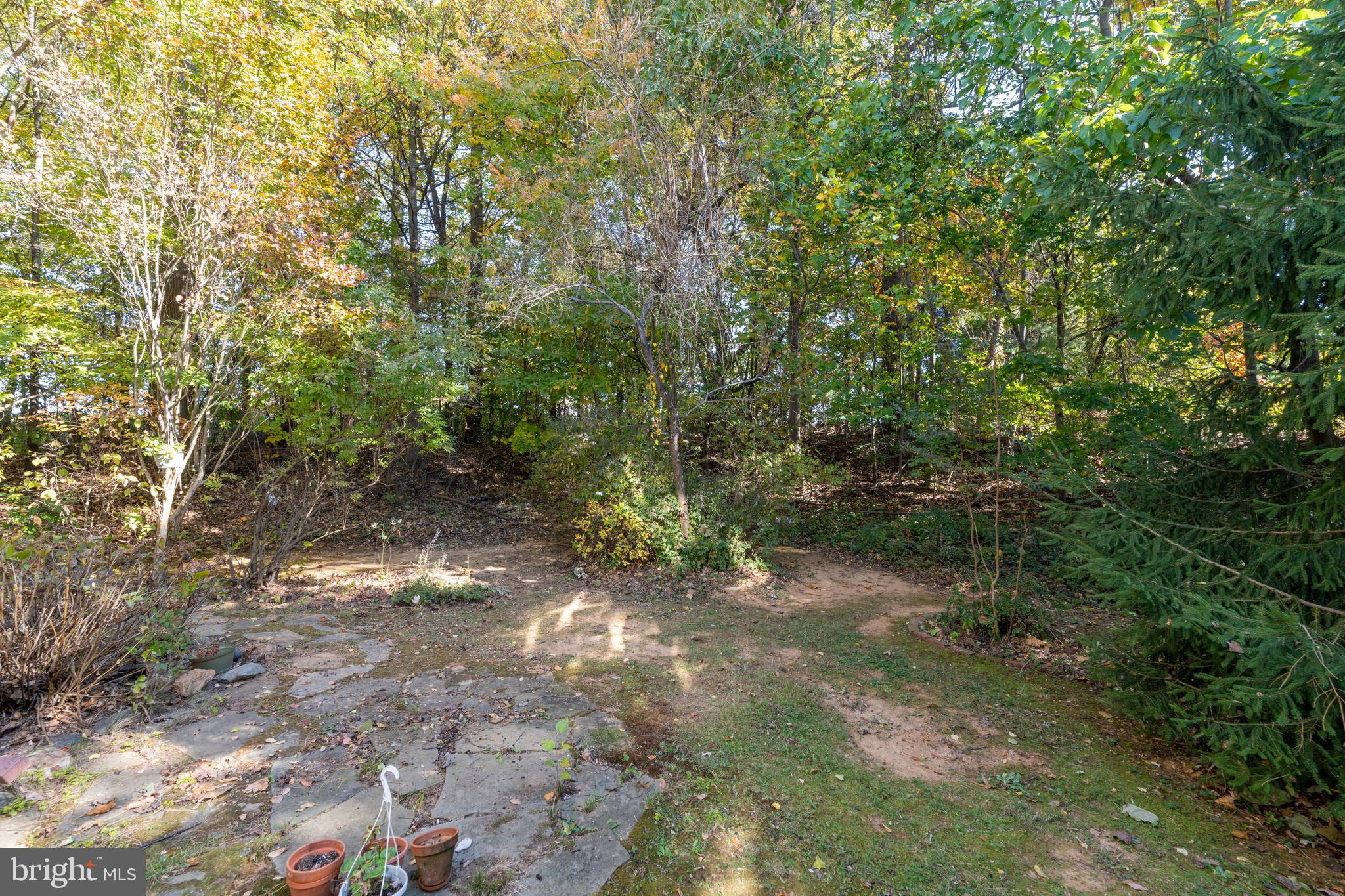 2145 Mardic Drive Forest Hill, MD 21050 - Photo 39 of 43 Private views from deck and screen porch.