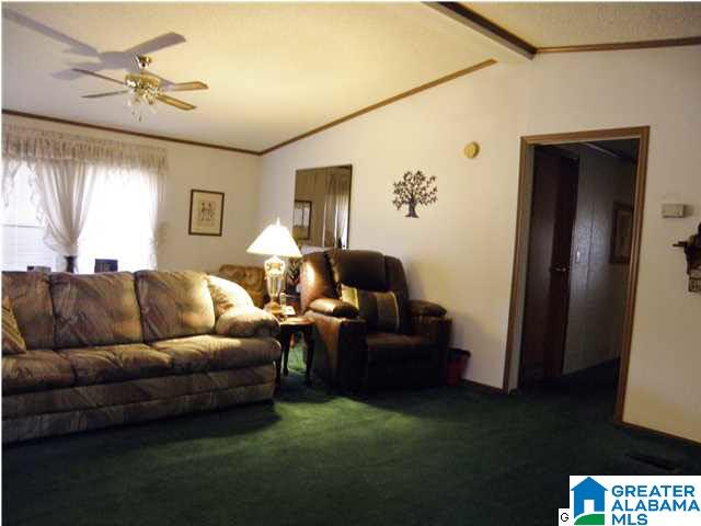 1499 Ray Wyatt Road Ashville, AL 35953 - Photo 7 of 29