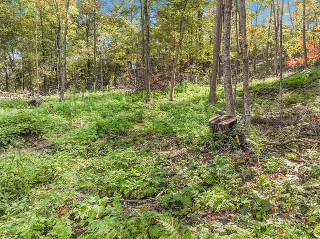 $47,500 | Lot 2 1240th Avenue, Glenwood City, WI 54013