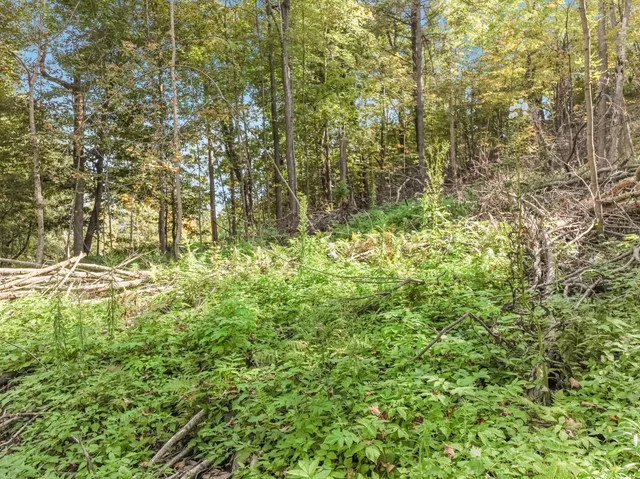 $47,500 | Lot 2 1240th Avenue, Glenwood City, WI 54013