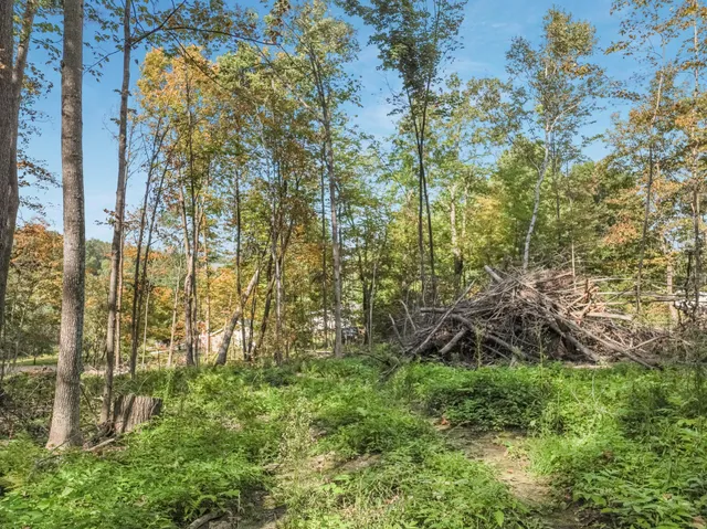 $47,500 | Lot 2 1240th Avenue, Glenwood City, WI 54013