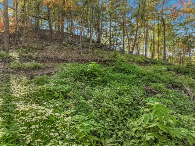 $47,500 | Lot 2 1240th Avenue, Glenwood City, WI 54013