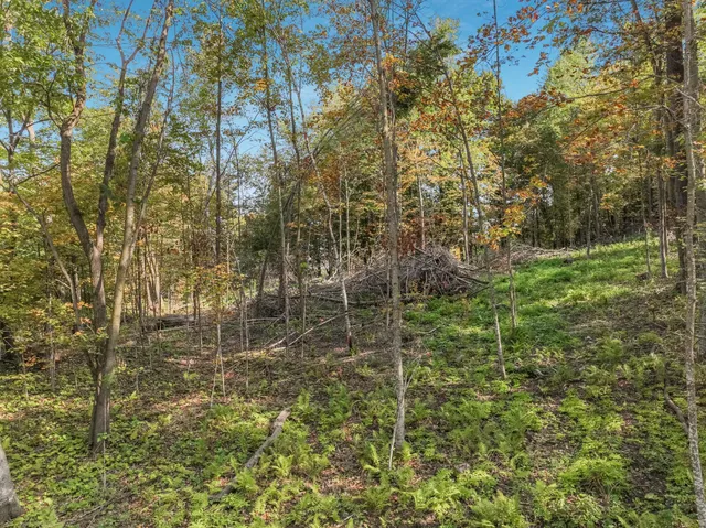 $57,500 | Lot 2 1240th Avenue, Glenwood City, WI 54013