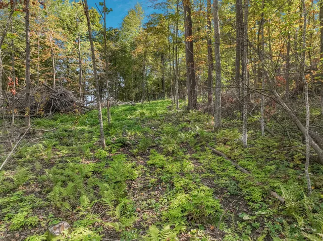 $57,500 | Lot 2 1240th Avenue, Glenwood City, WI 54013