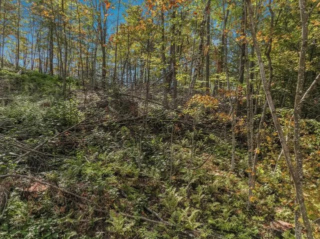 $57,500 | Lot 2 1240th Avenue, Glenwood City, WI 54013