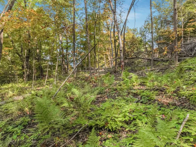 $47,500 | Lot 2 1240th Avenue, Glenwood City, WI 54013
