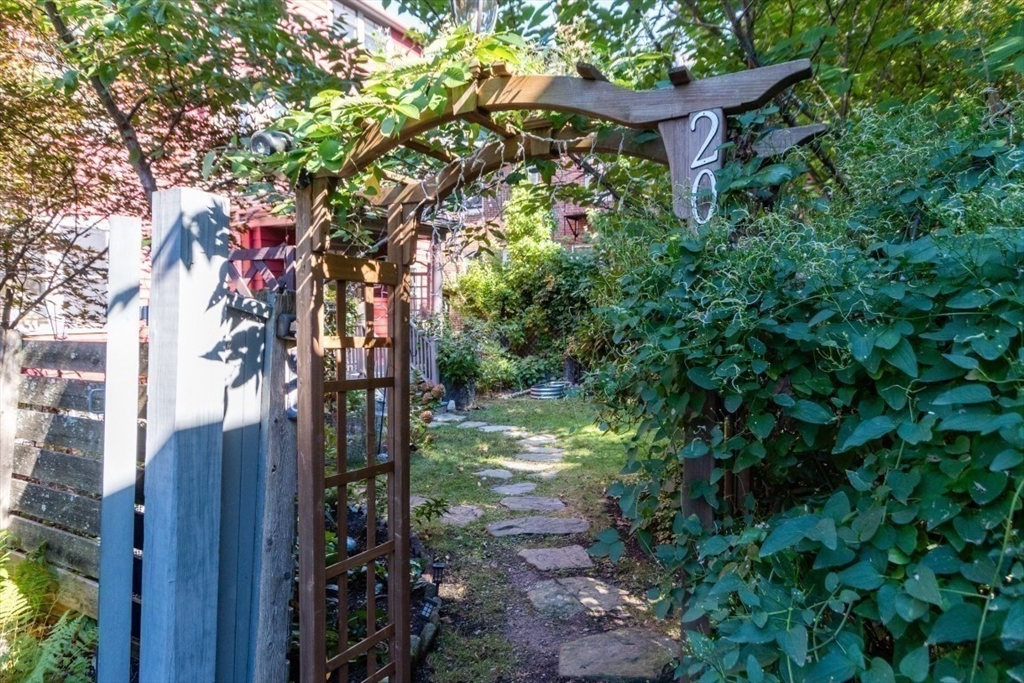 20 Maynard Place Cambridge, MA 02138 - Photo 36 of 42 a backyard of a house with lots of green space
