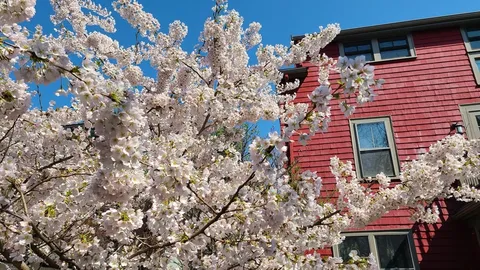 a picture of a building