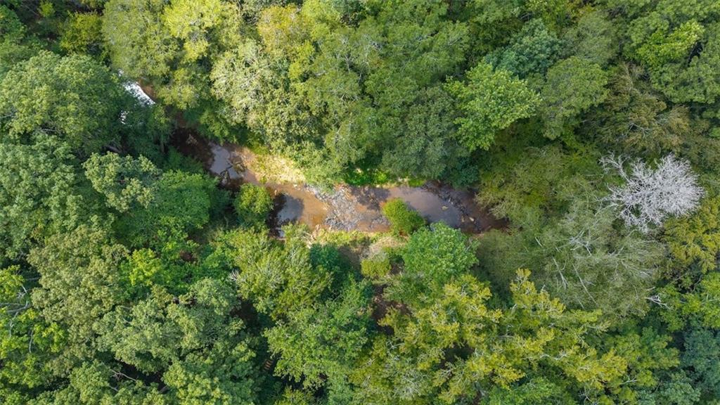 2237 Clem Lowell Road Carrollton, GA 30116 - Photo 41 of 60 a view of a lush green forest with lawn chairs