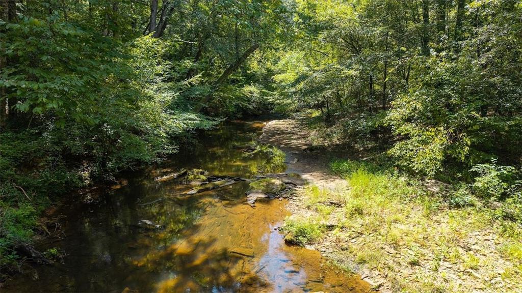 2237 Clem Lowell Road Carrollton, GA 30116 - Photo 42 of 60 a view of lake