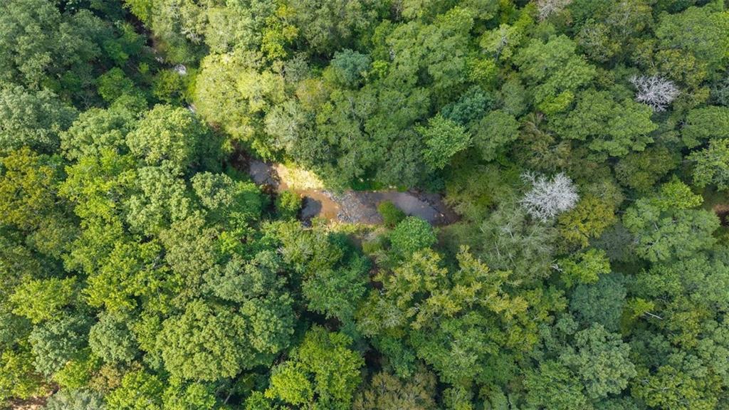 2237 Clem Lowell Road Carrollton, GA 30116 - Photo 45 of 60 a view of a lush green forest with lots of trees