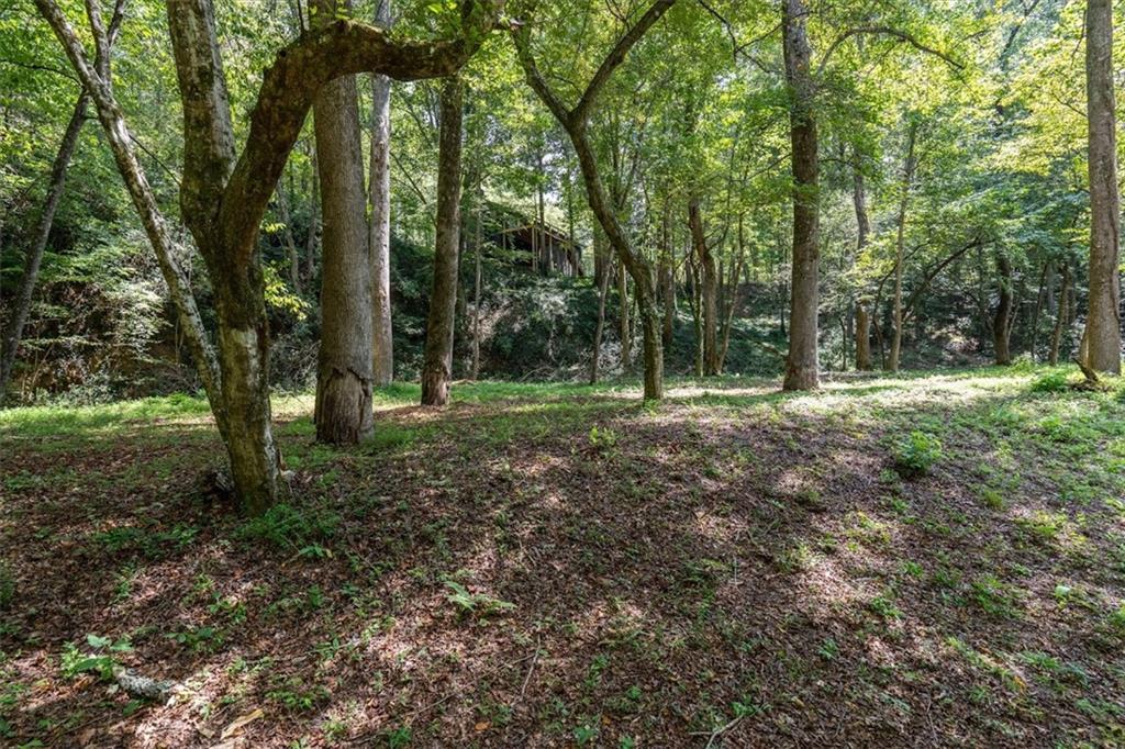 2237 Clem Lowell Road Carrollton, GA 30116 - Photo 46 of 60 a view of outdoor space with trees